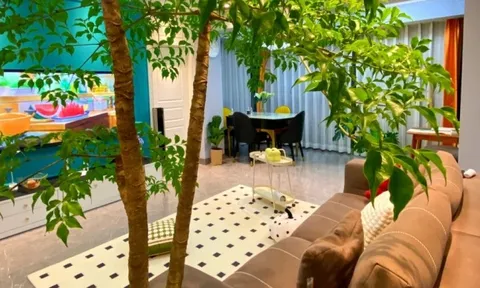 Không phải ngẫu nhiên mà 9/10 nhà khá giả đều đặt thứ này ở phòng khách: Vừa đẹp sang, vừa mang vượng khí cho gia đình