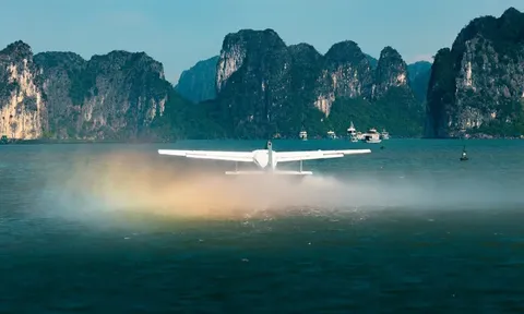 Lãnh đạo Masterise làm Chủ tịch HĐQT Hàng không Hải Âu của nhà sáng lập Trần Trọng Kiên