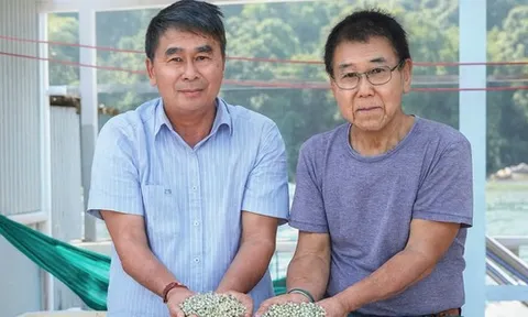 Sau biến cố siêu bão, lão nông Việt nuôi “kho báu” dưới nước, mỗi năm thu về 150 tỷ đồng