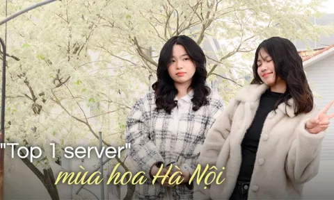 Cả Hà Nội phát sốt vì những cây hoa này: Chỗ đẹp như ngôn tình, nơi đã xác xơ - đi nhầm phí công vô ích!