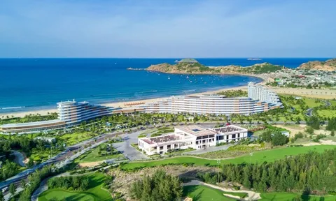 Bùng nổ loạt sự kiện Năm du lịch quốc gia 2026: Pháo hoa thắp sáng Đại ngàn Gia Lai