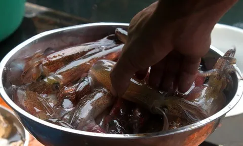 Đặc sản "ăn một lần, nhớ một đời" của tỉnh miền Trung: Chủ tịch tỉnh phải đăng lên Facebook