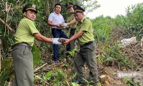 Gian nan hành trình bảo vệ các loài động vật hoang dã ở Huế