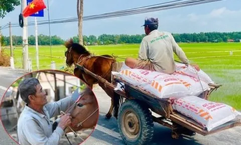 Người đàn ông miền Tây U70 kể đời phu xe ngựa, khoe vết sẹo còn hằn trên bụng