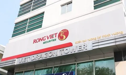 Kido Foods nâng sở hữu tại Chứng khoán Rồng Việt