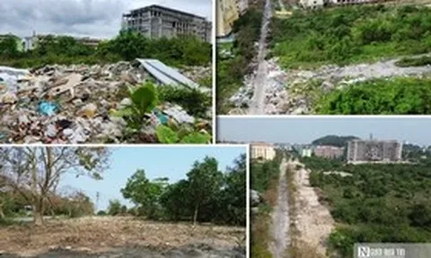 VIDEO: Khu quy hoạch Đại học ở Huế từng ngập rác nay đã "lột xác"