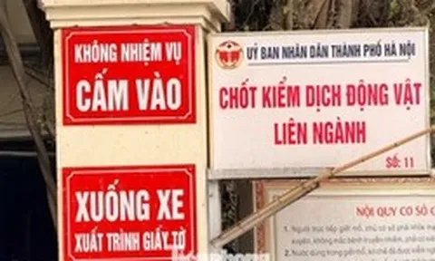 Vụ tiêu thụ gần 300 tấn lợn bệnh ở Hà Nội: Thu giữ cuốn sổ ghi chép việc ăn chia tiền 'làm luật'