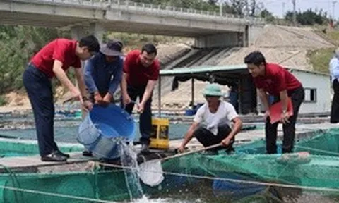 Agribank – Hành trình bền bỉ phục vụ phát triển 'tam nông'