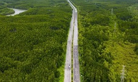 TPHCM: Nghiên cứu mở rộng đường Rừng Sác lên 8 làn xe