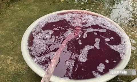 Vụ nước giếng khoan chuyển màu tím: Tạm dừng hoạt động giặt là nhà máy may