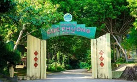 Khuyến cáo những ai tới Vườn Quốc gia Cúc Phương ngay lúc này