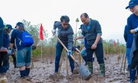 Panasonic Vietnam: Khi phát triển bền vững không phải đích đến mà là hành trình