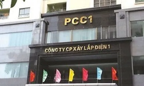 Cổ phiếu PC1 có biến