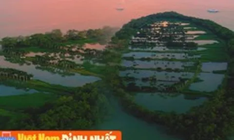 Sự thật về dải cù lao xanh mướt như đồ họa AI tại Cần Thơ