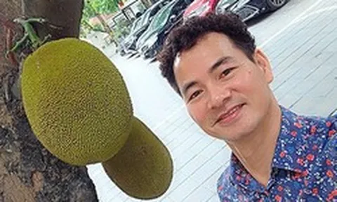 Cây mít nổi tiếng nhất Việt Nam khiến Cục trưởng Xuân Bắc phải đi làm cả cuối tuần để... canh chừng!