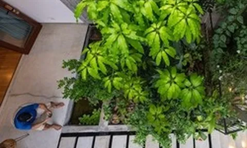Ông bà dạy: Trong nhà có 5 điều này xuất hiện, khôn ngoan thì giữ cho kỹ, càng ở càng tích nhiều may mắn