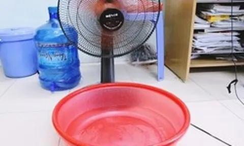Mẹo làm mát nhà không cần điều hòa, chỉ cần quạt và nước đá: EVN cảnh báo