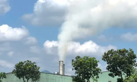 Khói trắng bủa vây khu dân cư, người dân đề nghị quan trắc độc lập nhà máy gỗ