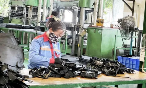 Chủ tịch Cao su Bến Thành xin từ nhiệm trước thềm Đại hội cổ đông