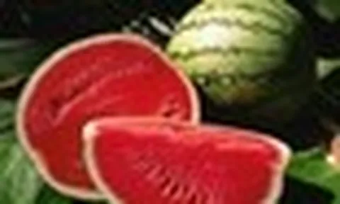 5 lời khuyên khi mua dưa hấu