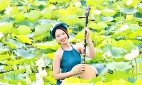 Đắm đuối mùa sen Hà Nội