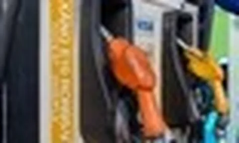 Những mẫu xe chưa xác định tương thích với xăng E10