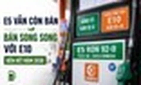 Xăng E5 bỗng dưng "đắt hàng", nhiều chủ xe đời cũ săn lùng: Bộ Công Thương nói gì?