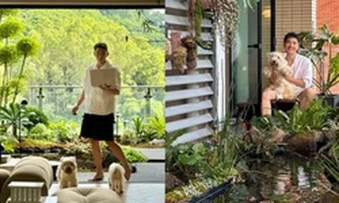 Hồ cá Koi trên ban công, cửa sổ view "4 mùa" của chàng trai lên núi xây nhà sống cùng 4 chú chó