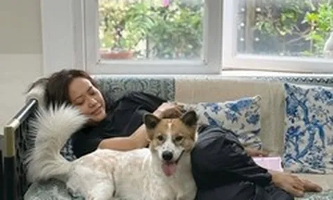 Nữ nghệ sĩ đình đám cưới doanh nhân có con riêng: 17 năm không sinh con, chồng chăm sóc khi bị bệnh