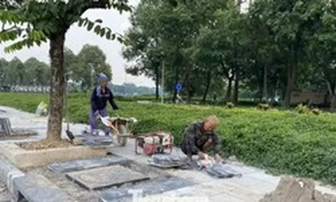 Hà Nội: Vì sao vỉa hè vừa làm xong lại đào lên lắp cống?