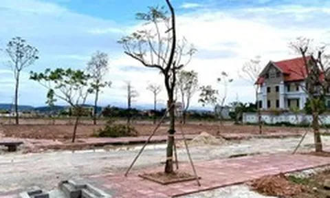 Thị trường đất đấu giá phân hóa: Nơi giảm sâu 30%, nơi ngược dòng giữ sóng