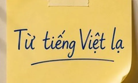 Một từ tiếng Việt chỉ 2 âm tiết nhưng khiến không ít người Việt phải tra Google mới hiểu nghĩa