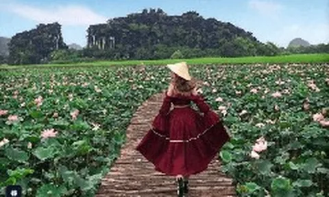 Tỉnh duy nhất ở Việt Nam sở hữu quần thể danh thắng "Hạ Long trên cạn", là di sản hỗn hợp UNESCO duy nhất cả nước: nửa đầu năm 2026 đã hút 17,6 triệu lượt khách, doanh thu 18.000 tỷ đồng