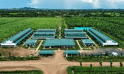 Công ty nông nghiệp của tỷ phú Trần Bá Dương báo lãi gấp 6 lần, nợ vượt 2,59 tỷ USD