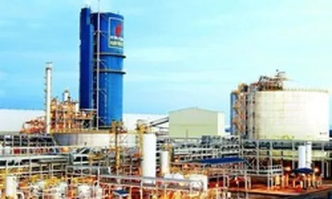 Đạm Phú Mỹ chốt danh sách chia cổ tức 15% ngay tháng này