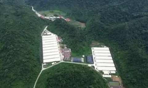 Thêm nạn nhân tử vong trong vụ tai nạn tại trại nuôi lợn ở Thanh Hóa