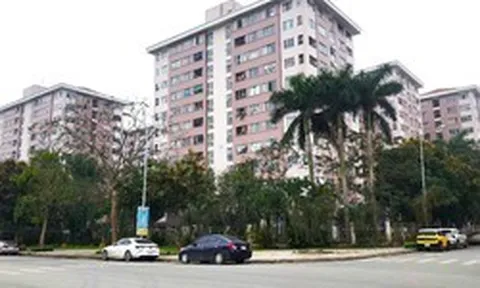 Hà Nội: Đẩy nhanh tiến độ hoàn thiện cơ sở dữ liệu về đất đai
