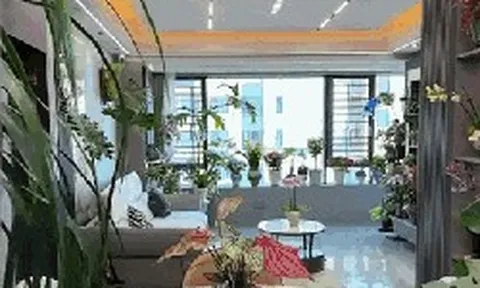 Dụi mắt 1 tỷ lần trước "căn hộ trên không" của pháp sư Trung Hoa: Trồng hơn 200 chậu cây đẹp quên cả mặt đất