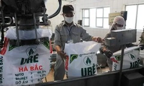 "Quả đấm thép" một thời ngành phân bón báo lãi gấp 15 lần cùng kỳ, vẫn lỗ lũy kế 1.240 tỷ đồng