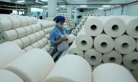 Sợi Thế Kỷ báo lỗ gần 73 tỷ đồng sau 6 tháng