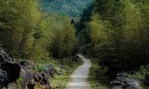 "Làng địa ngục" bước ra từ màn ảnh: Nằm trên độ cao 1.500m ở vùng núi phía Bắc, dân làng từng sống trong "3 không"