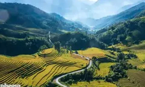 Ruộng bậc thang Tây Bắc mùa lúa chín đẹp như tranh