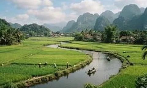 1 sào ruộng bằng bao nhiêu mét vuông?