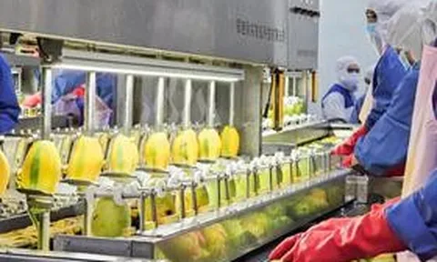 Nafoods Group lãi hơn 140 tỷ đồng sau 6 tháng, hàng tồn kho tăng hơn gấp đôi