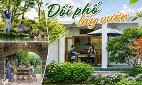 Nữ giáo viên rời trung tâm thành phố, dành 16 năm làm khu vườn 400m²: Chi phí sống giảm, nhà lại rộng hơn