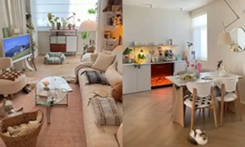 Căn nhà của cô gái độc thân sống cùng 4 chú mèo
