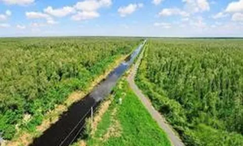 Việt Nam có khu rừng thuộc dạng hiếm bậc nhất thế giới, chia đôi bởi 1 dòng sông, 3 tổ chức cùng vinh danh