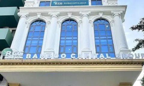 Bamboo Capital sẽ làm gì sau khi bị hủy tư cách công ty đại chúng?