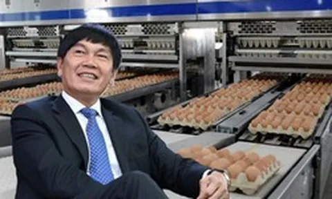 Cổ phiếu HPA giảm 28% sau 6 tháng lên sàn, liên tục dò đáy mới