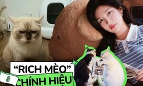 "Rich mèo" có máy đi vệ sinh tự động hơn 12 triệu, được thuê hẳn phòng trọ riêng: Tình trạng túi tiền của các "con sen"